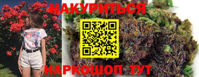 прущие грибы Шахты
