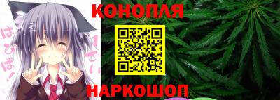 прущие грибы Шахты