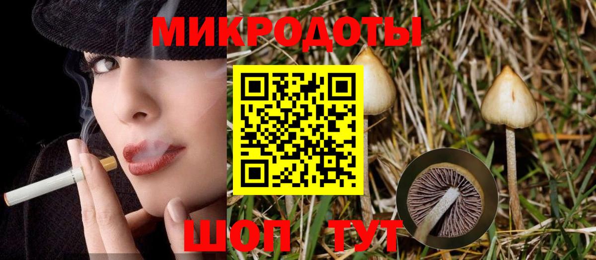 Псилоцибиновые грибы мицелий Баксан
